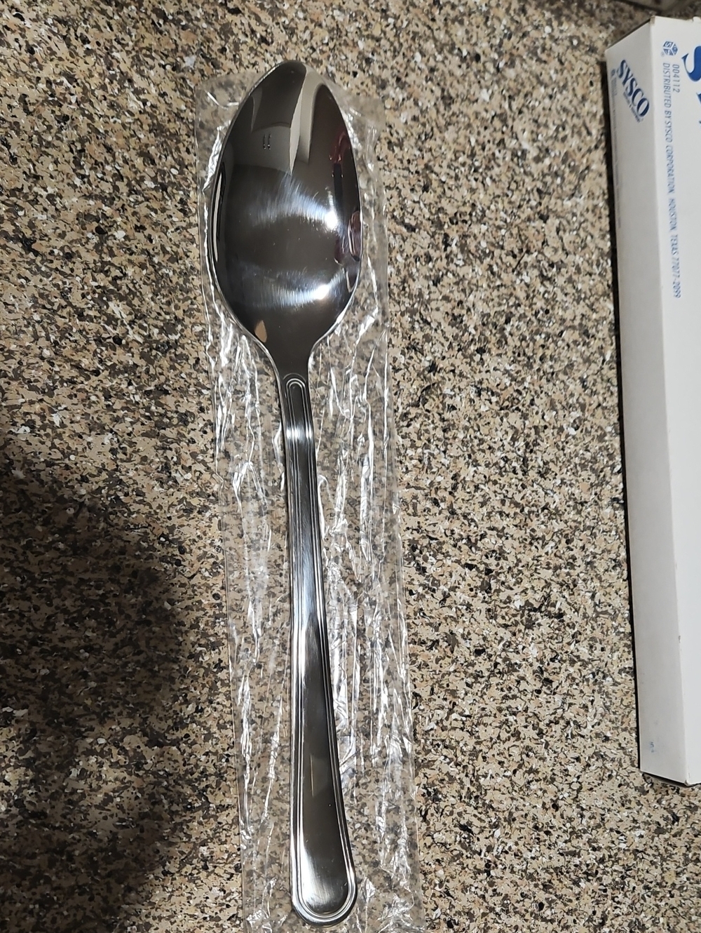 Polished Silver Serving Spoon - Stainless